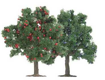 Busch 6649 - 2 fruit trees