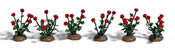 36 Roses