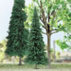 Pine tree