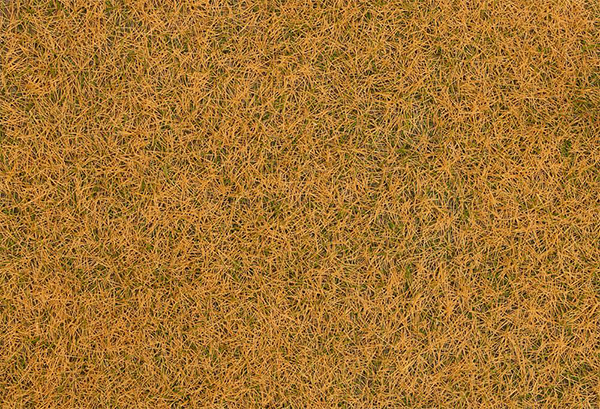 Faller 170223 - 170223 Grass fibres, beige, 4 mm, 20 g