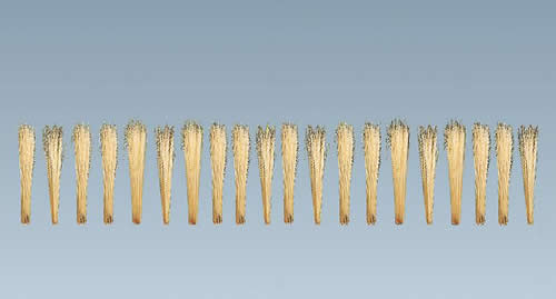 Faller 170716 - Reeds