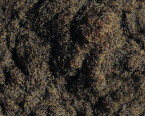 Faller 170727 - Grass fibres, dark brown, 35 g