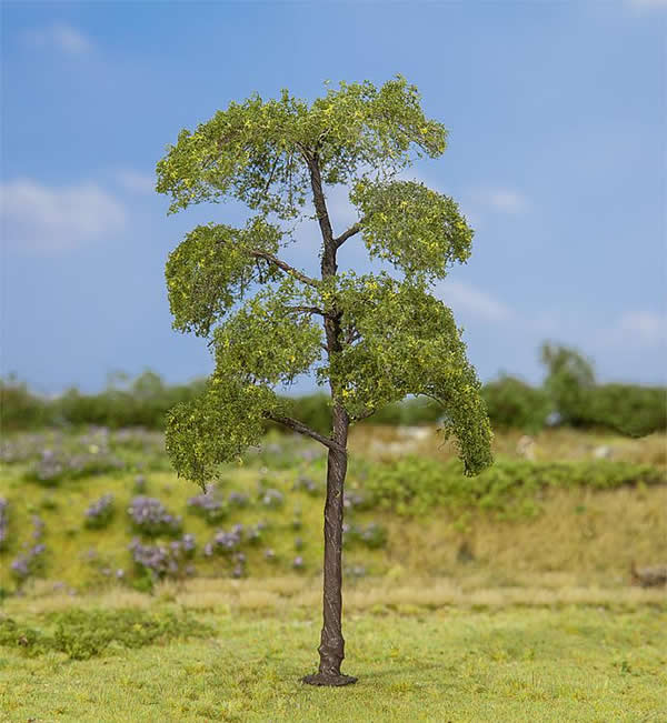 Faller 181177 - 1 PREMIUM Black poplar