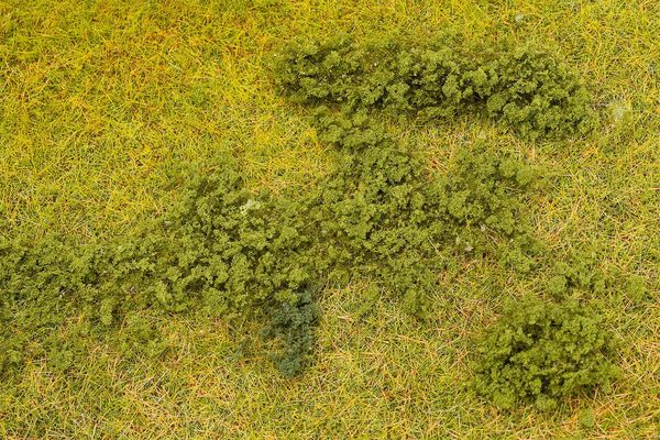 Faller 181622 - 181622 Leaf Foliage, Green