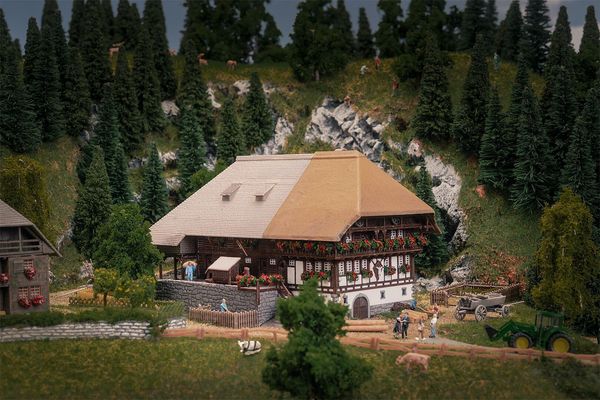 Faller 232010 - 232010 Black Forest Farm with 2 Figures Anniversary Model