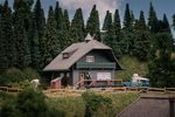 130010 Black Forest House with Figure Anniversary Model