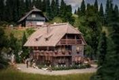 130012 Clockmakers House with figure Anniversary Model