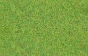 170212 Scattered fibres, grass green