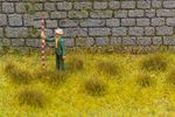 171388 Tufts of Grass, Dry Grass