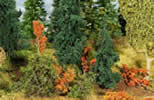 Undergrowth 
