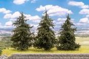 181544 3 Fir Trees