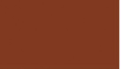 MBZ R60510 - Acrylic Paint Sienna Burned