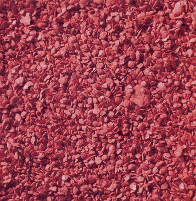 Noch 07149 - Leaves Red