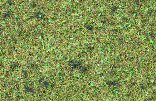 Noch 08157 - Scatter F=Grass Forest Floor