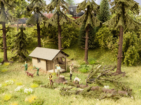 Noch 12046 - Forest Work