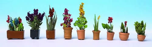 Noch 14012 - Ornamental Plants in Pots