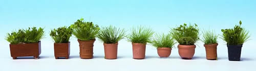 Noch 14032 - Foliage Plants in Pots