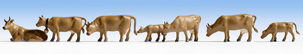 Noch 15722 - Cows, dark brown