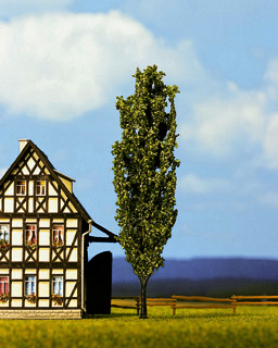 Noch 21680 - Poplar