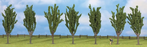 Noch 25098 - Poplars, 7 pcs., approx. 12 cm high