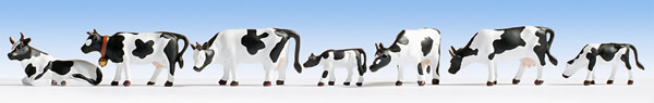 Noch 36721 - Cows, black-white