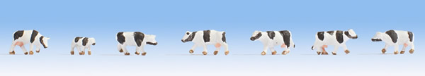 Noch 44250 - Cows, black-white