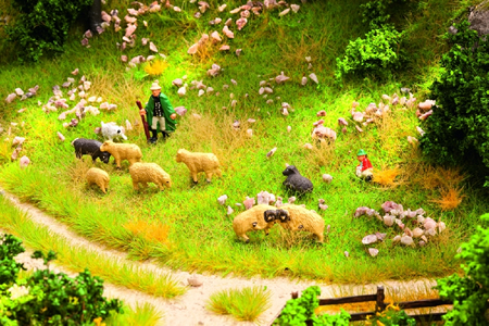 Noch 65602 - Sheep pasture