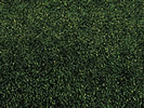 Grass Mat, dark green, 120 x 60 cm