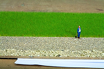 Master Grass Blend Cow Pasture, 2,5 - 6 mm