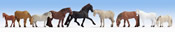Horses