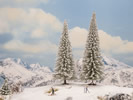 Snowy Fir Trees