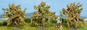 Orange Trees, 3 pcs., 4 cm high