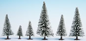 Snow Fir Trees, 25 pieces, 3.5 - 9 cm high