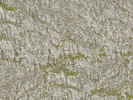 Wrinkle Rocks Ã”Ã‡Â£Seiser AlmÃ”Ã‡Ã˜