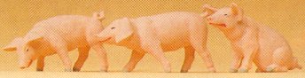 Preiser 47048 - Piglets assorted       3/