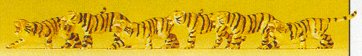 Preiser 79714 - Tigers