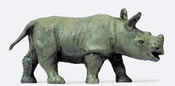 Young African Rhinoceros