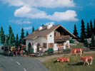 House Wiesengrund