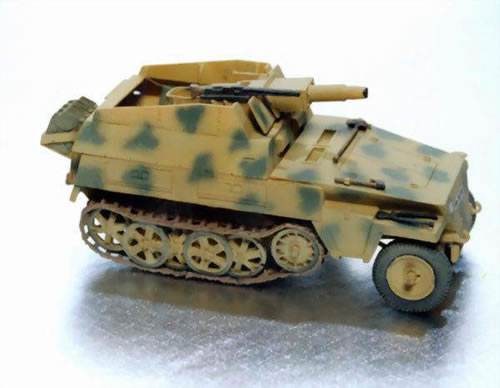 Wespe P48005 - SdKfz 250/8- PAINTED